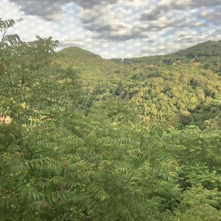 Appartamento Beahouse: casa con vista a Sassetta Esterno foto